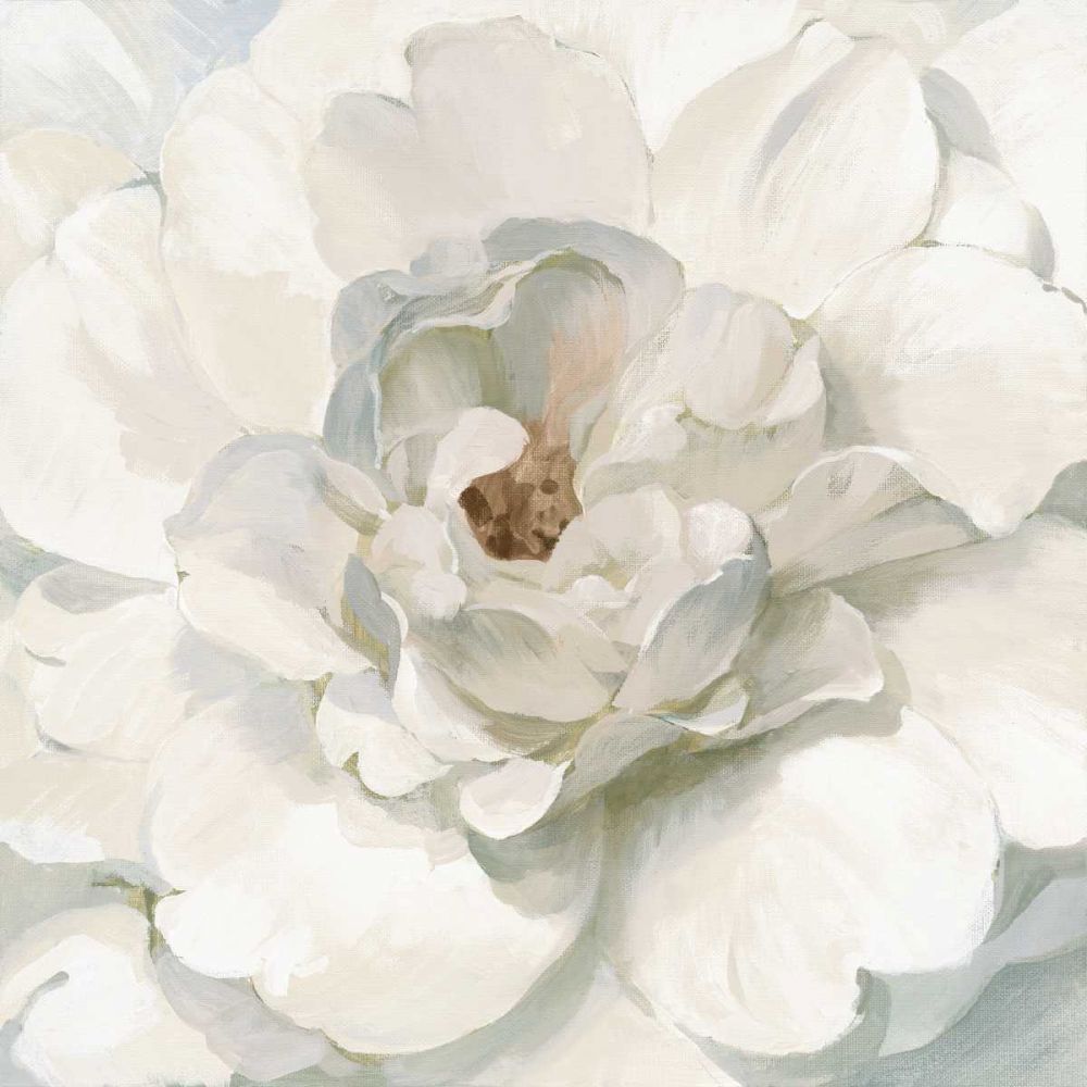 Neutral Peony art print by Danhui Nai for $57.95 CAD