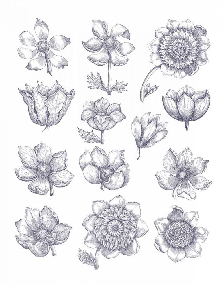 Anemone Plate I Blue art print by Wild Apple Portfolio for $57.95 CAD