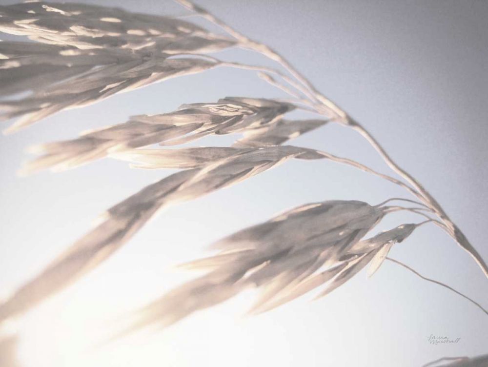 Windy Wheat Fields II Light art print by Laura Marshall for $57.95 CAD
