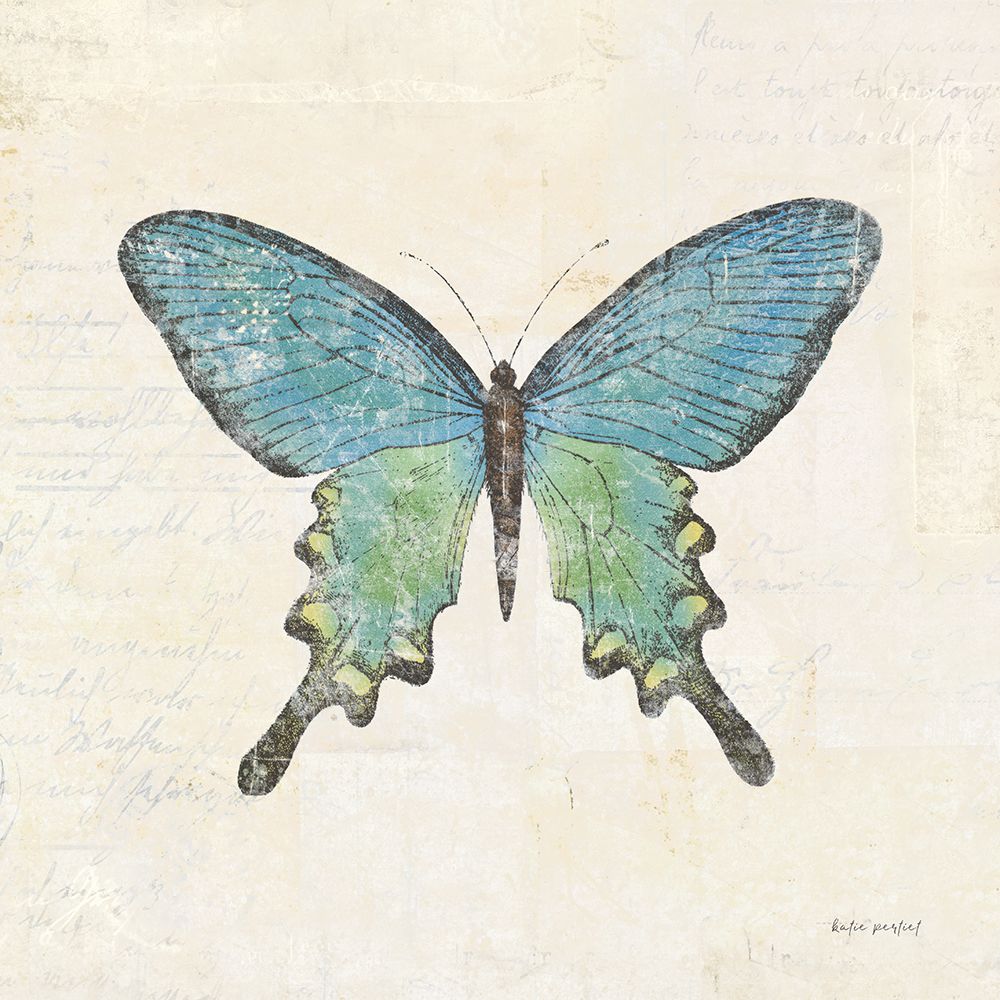 Butterfly Collage II Cream art print by Katie Pertiet for $57.95 CAD