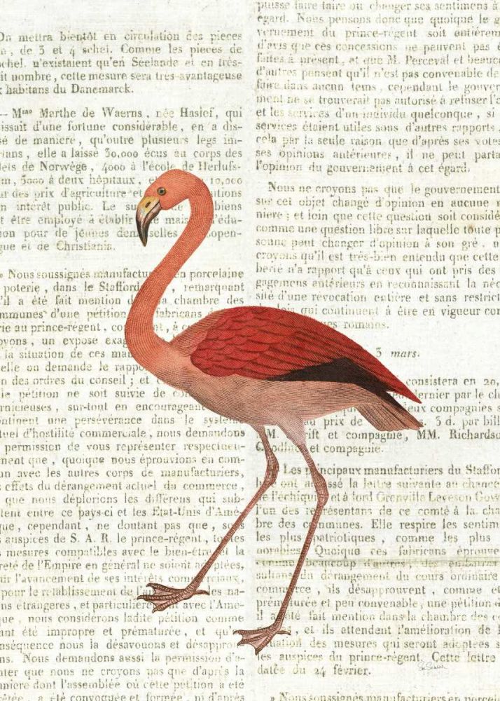 Flying Flamingo No Balloons art print by Sue Schlabach for $57.95 CAD