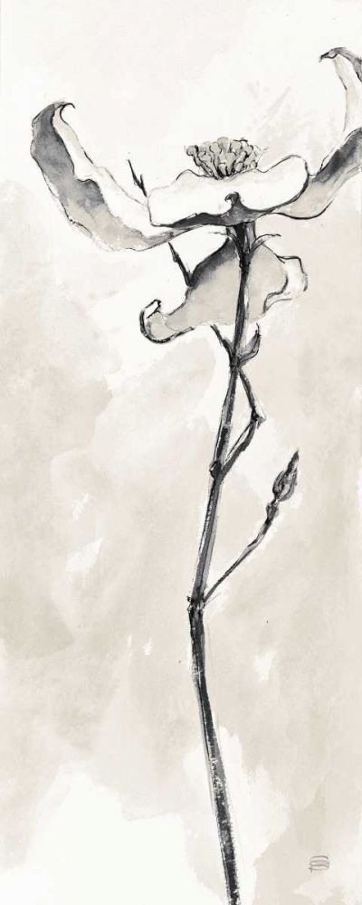 Solitary Dogwood IV Taupe Crop art print by Chris Paschke for $57.95 CAD