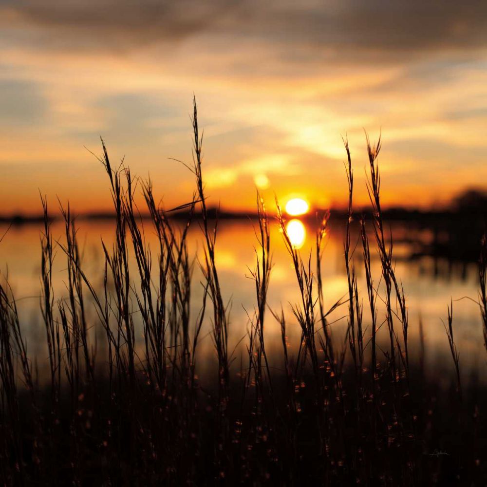 Maryland Sunset II art print by Aledanda for $57.95 CAD