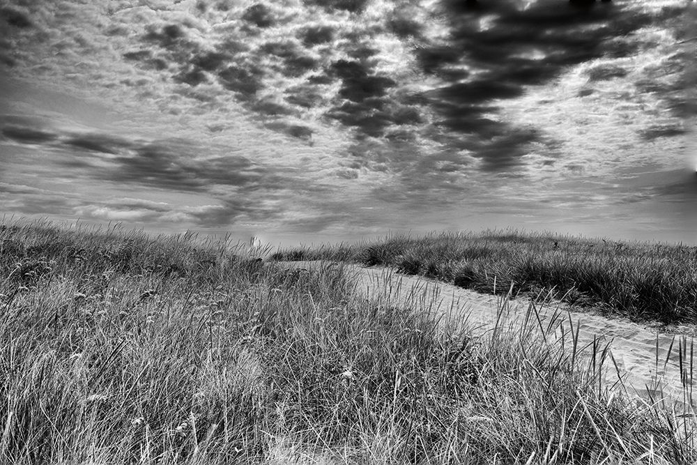 Nantucket Dunes art print by Aledanda for $57.95 CAD