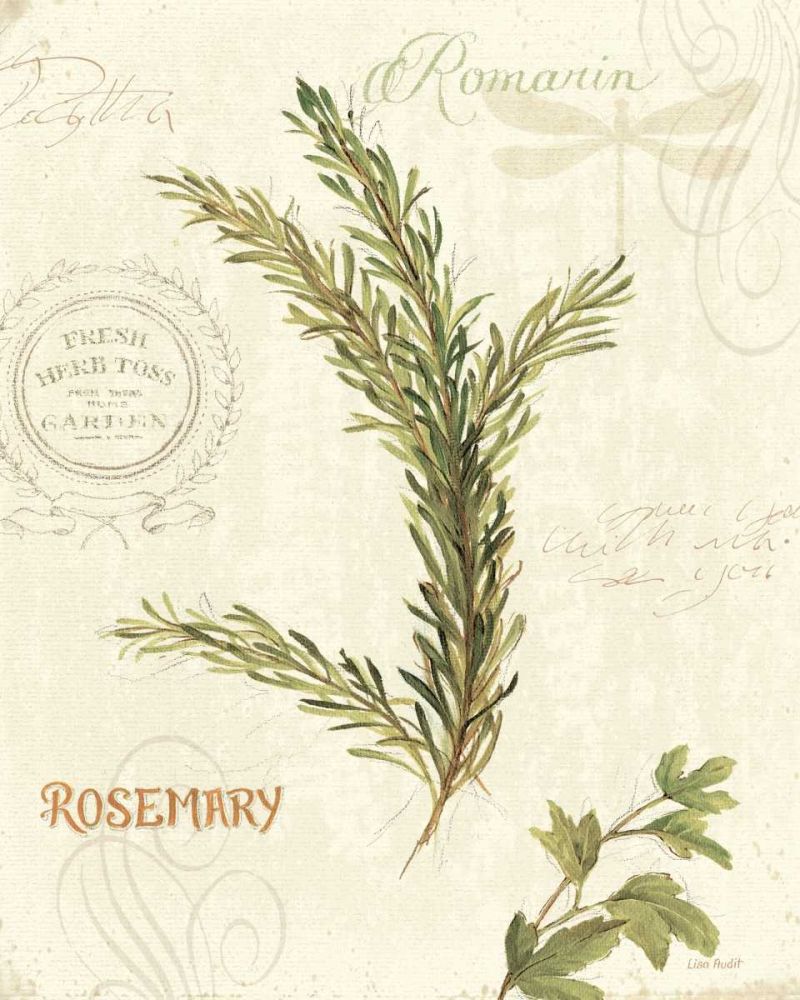 Aromantique II art print by Lisa Audit for $57.95 CAD