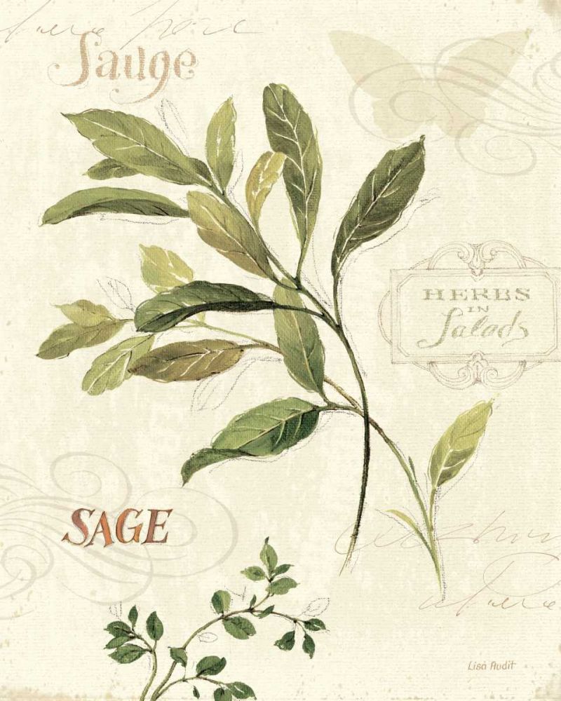 Aromantique IV art print by Lisa Audit for $57.95 CAD