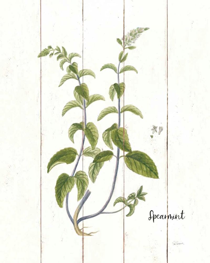 Cottage Herbs IV art print by Sue Schlabach for $57.95 CAD