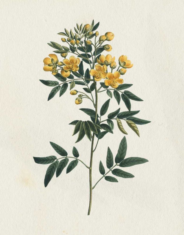 Victorian Garden Flowers I art print by Wild Apple Portfolio for $57.95 CAD