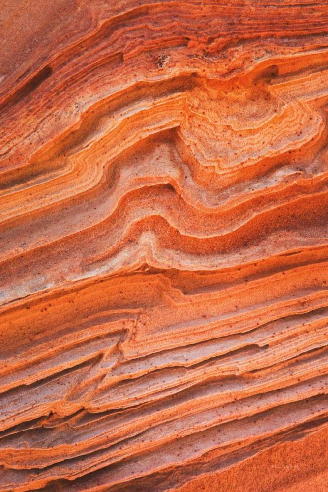 Coyote Buttes IV art print by Alan Majchrowicz for $57.95 CAD