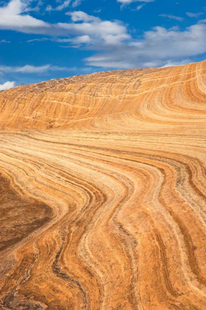 Coyote Buttes V art print by Alan Majchrowicz for $57.95 CAD