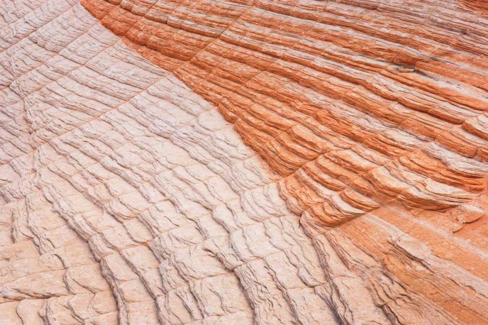 Coyote Buttes VI art print by Alan Majchrowicz for $57.95 CAD