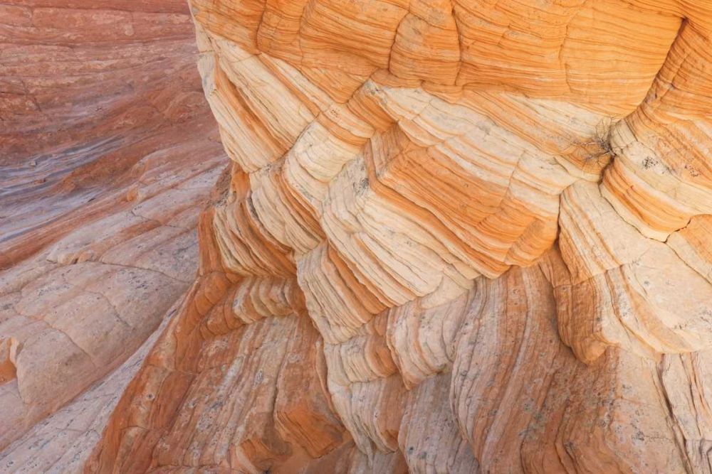 Coyote Buttes VII art print by Alan Majchrowicz for $57.95 CAD