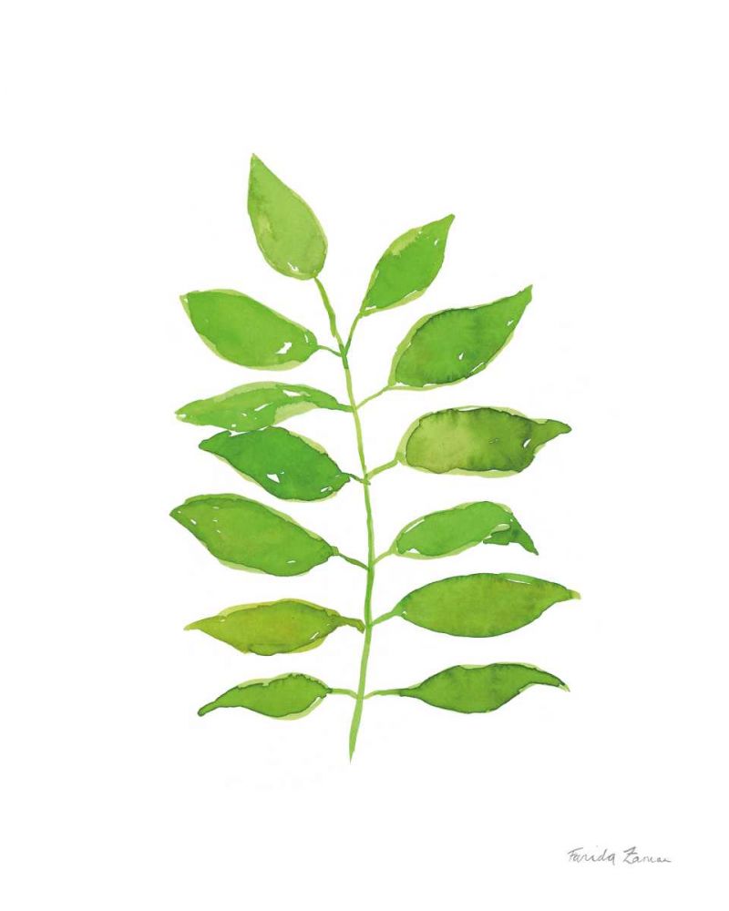 Fresh and Green IV art print by Farida Zaman for $57.95 CAD
