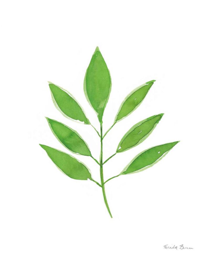 Fresh and Green VI art print by Farida Zaman for $57.95 CAD