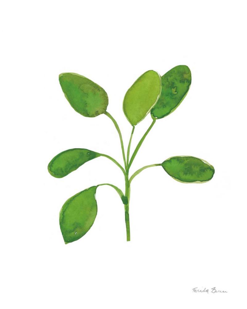 Fresh and Green VII art print by Farida Zaman for $57.95 CAD