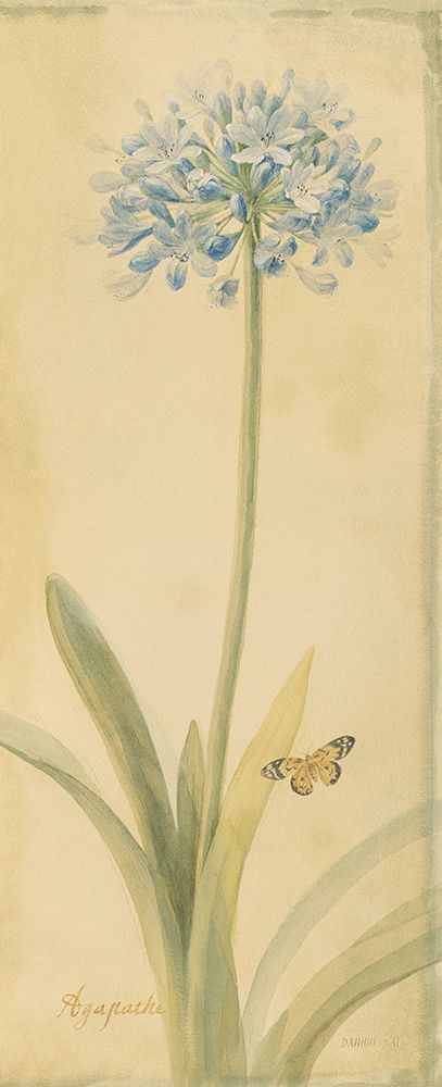 Botanical Agapanthus art print by Danhui Nai for $57.95 CAD
