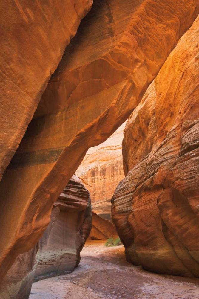 Buckskin Gulch I art print by Alan Majchrowicz for $57.95 CAD