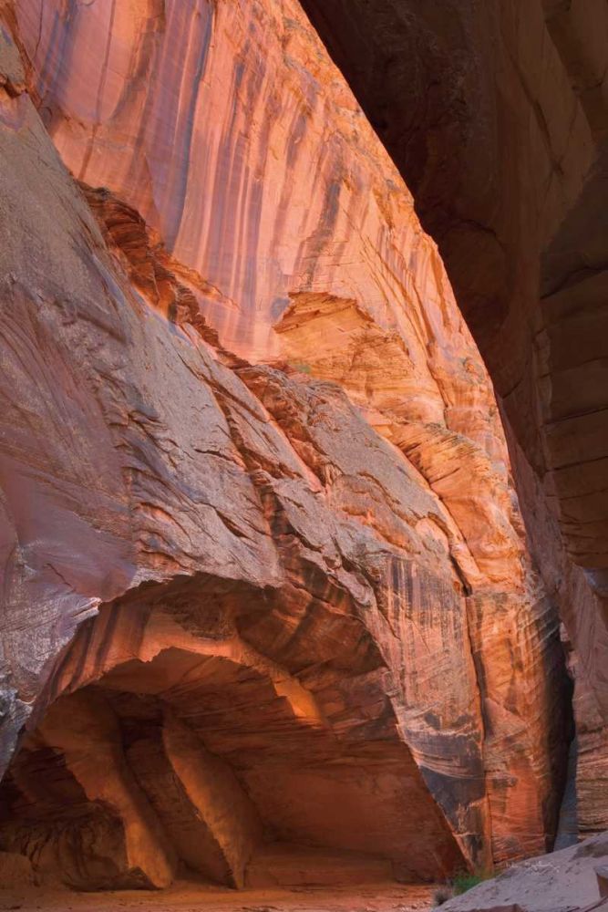 Buckskin Gulch II art print by Alan Majchrowicz for $57.95 CAD