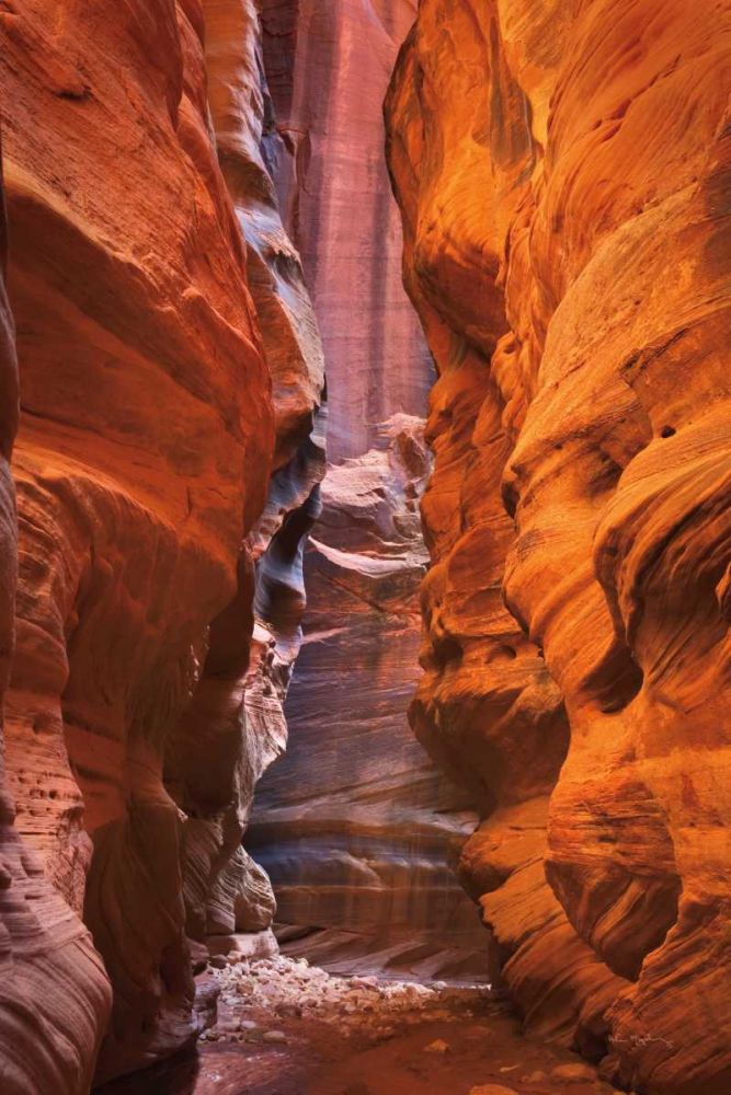 Buckskin Gulch IV art print by Alan Majchrowicz for $57.95 CAD