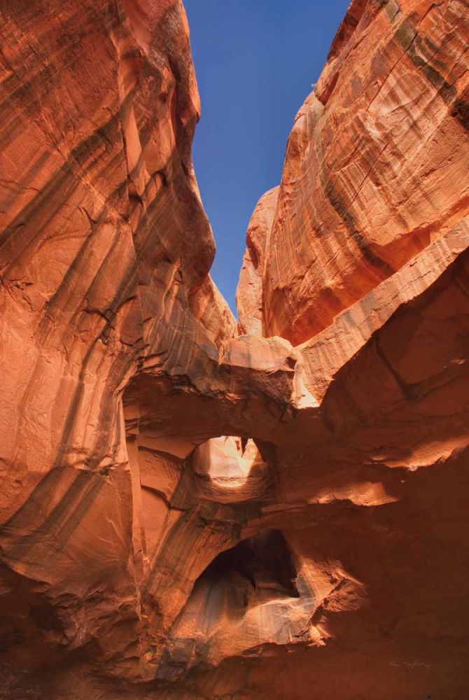Neon Canyon I art print by Alan Majchrowicz for $57.95 CAD