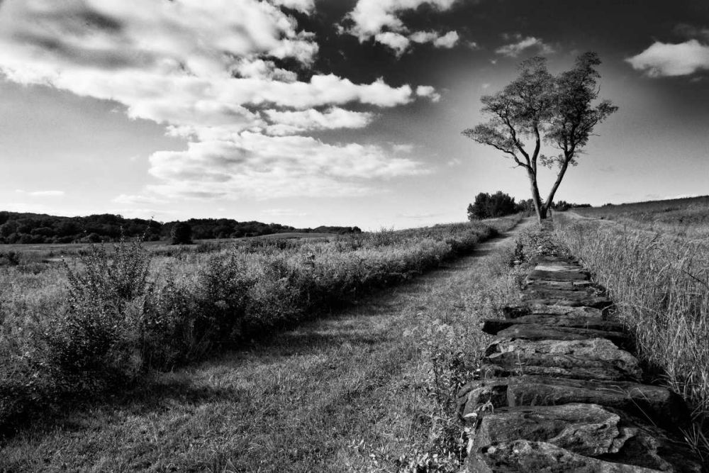 Stone Wall art print by Aledanda for $57.95 CAD