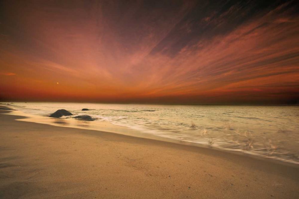 Marthas Vineyard Beach III art print by Aledanda for $57.95 CAD