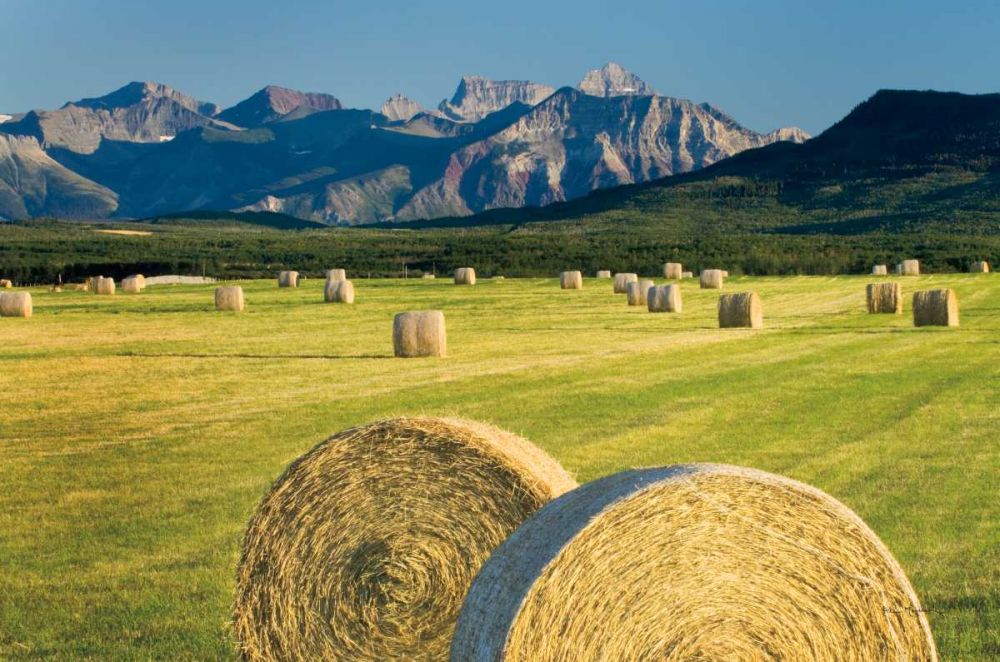 Waterton Hay Bales art print by Alan Majchrowicz for $57.95 CAD