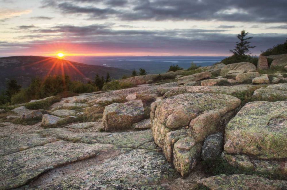 Acadia National Park Sunset art print by Alan Majchrowicz for $57.95 CAD