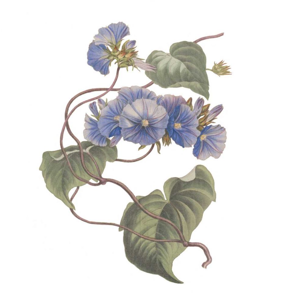 Monument Etching Tile Flowers I art print by Wild Apple Portfolio for $57.95 CAD