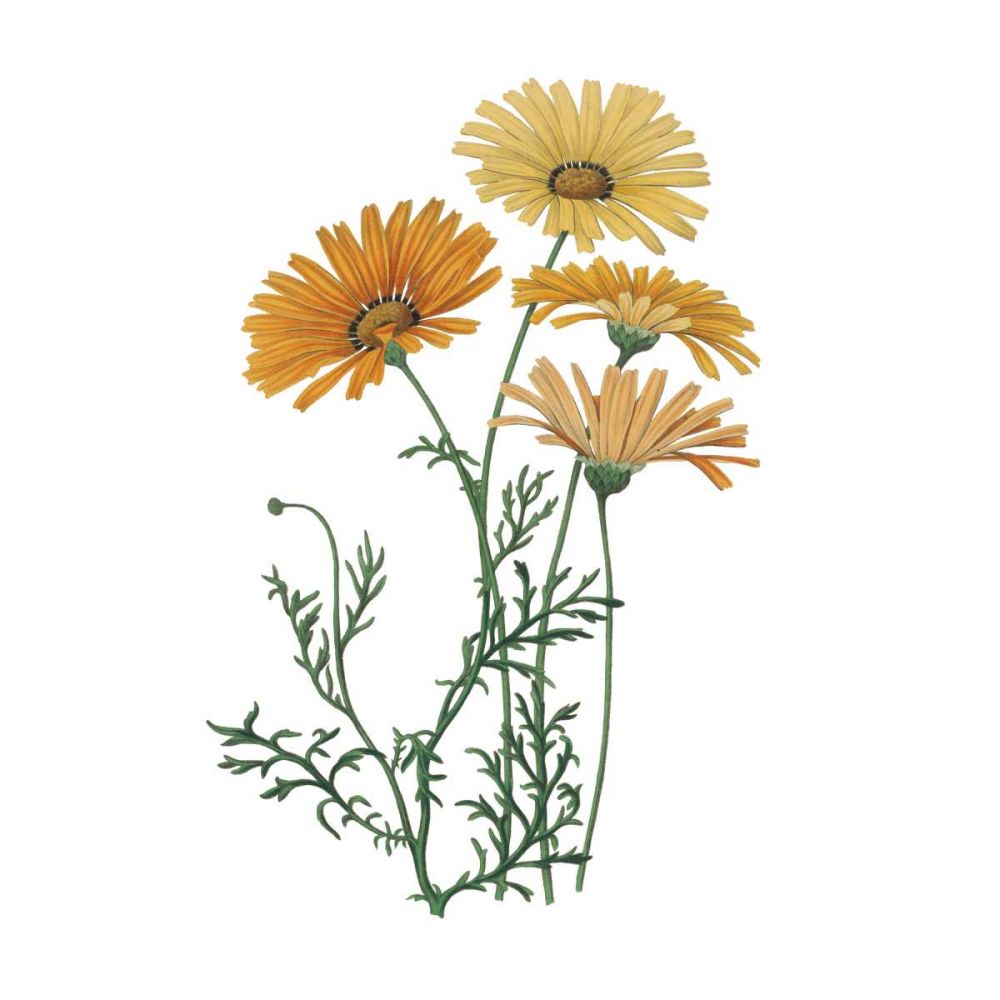 Monument Etching Tile Flowers II art print by Wild Apple Portfolio for $57.95 CAD