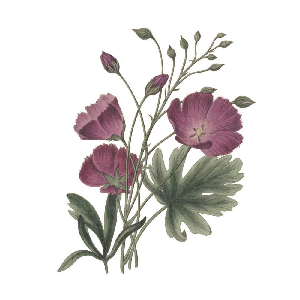 Monument Etching Tile Flowers III art print by Wild Apple Portfolio for $57.95 CAD
