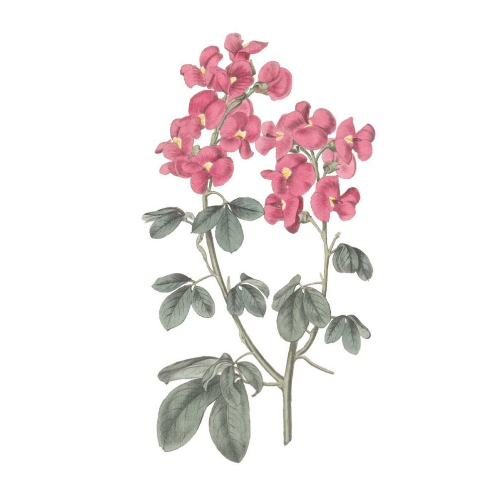 Monument Etching Tile Flowers IV art print by Wild Apple Portfolio for $57.95 CAD