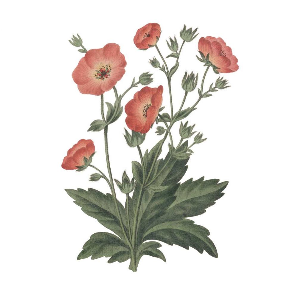 Monument Etching Tile Flowers V art print by Wild Apple Portfolio for $57.95 CAD