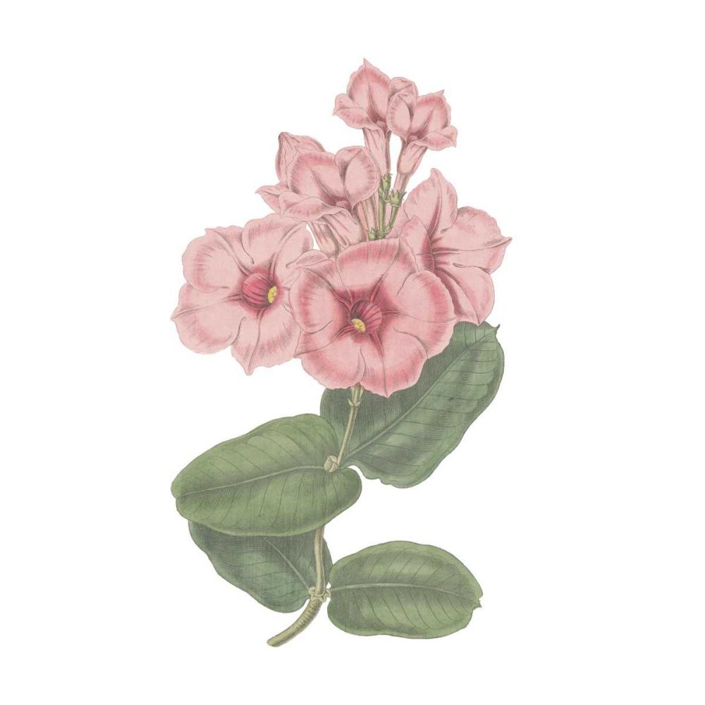 Monument Etching Tile Flowers VI art print by Wild Apple Portfolio for $57.95 CAD
