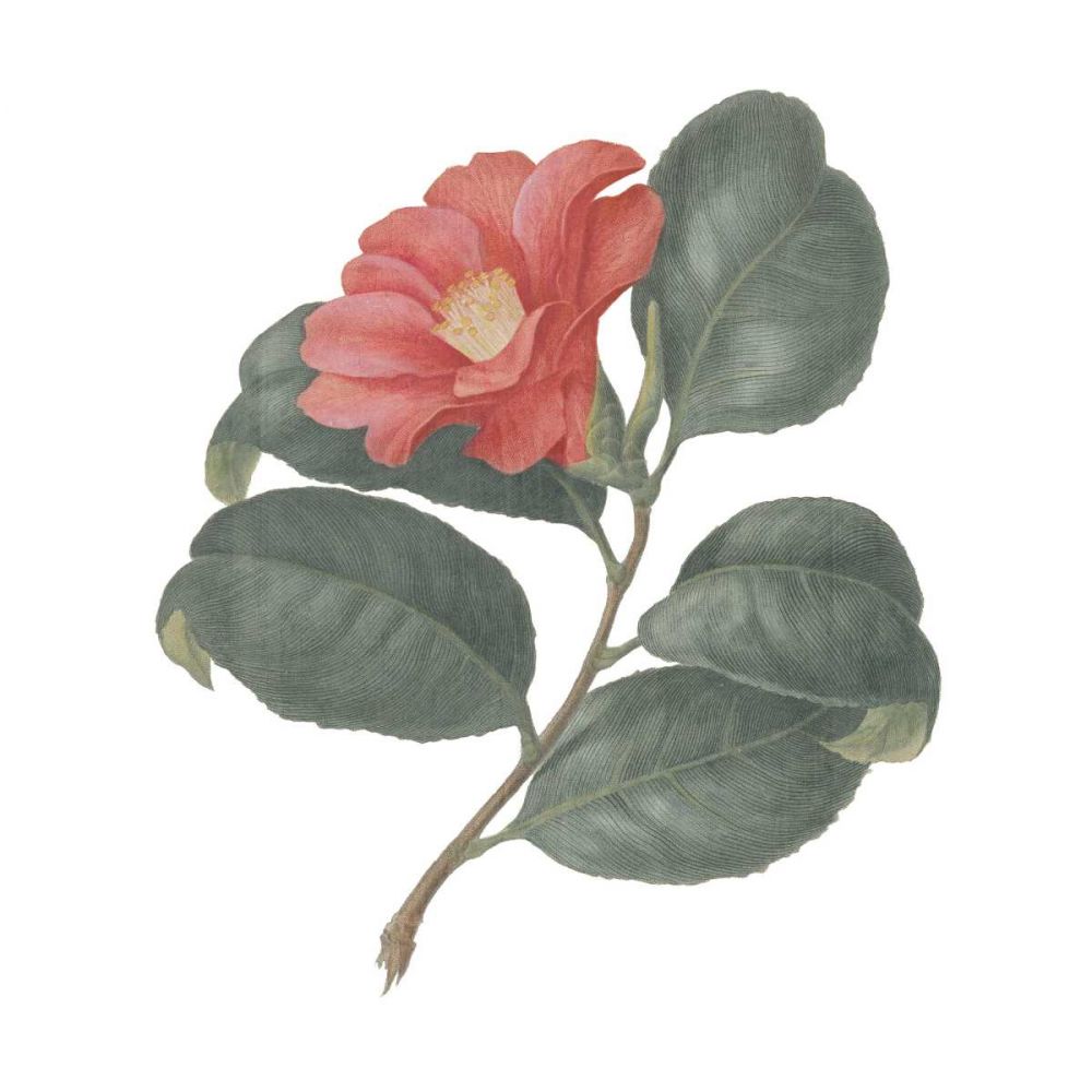 Monument Etching Tile Flowers VII art print by Wild Apple Portfolio for $57.95 CAD