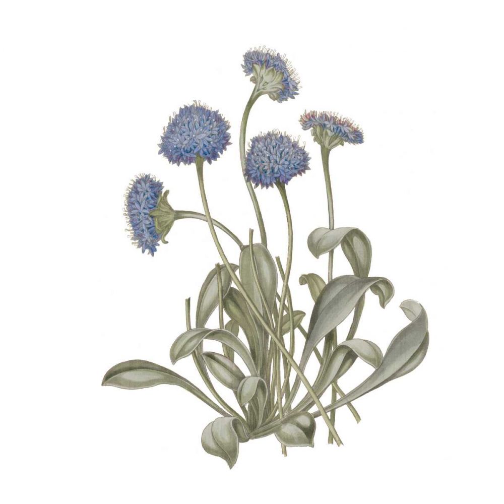 Monument Etching Tile Flowers IX art print by Wild Apple Portfolio for $57.95 CAD