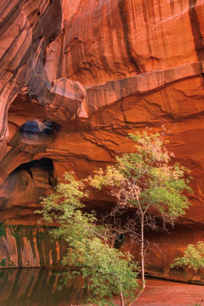 Neon Canyon III art print by Alan Majchrowicz for $57.95 CAD
