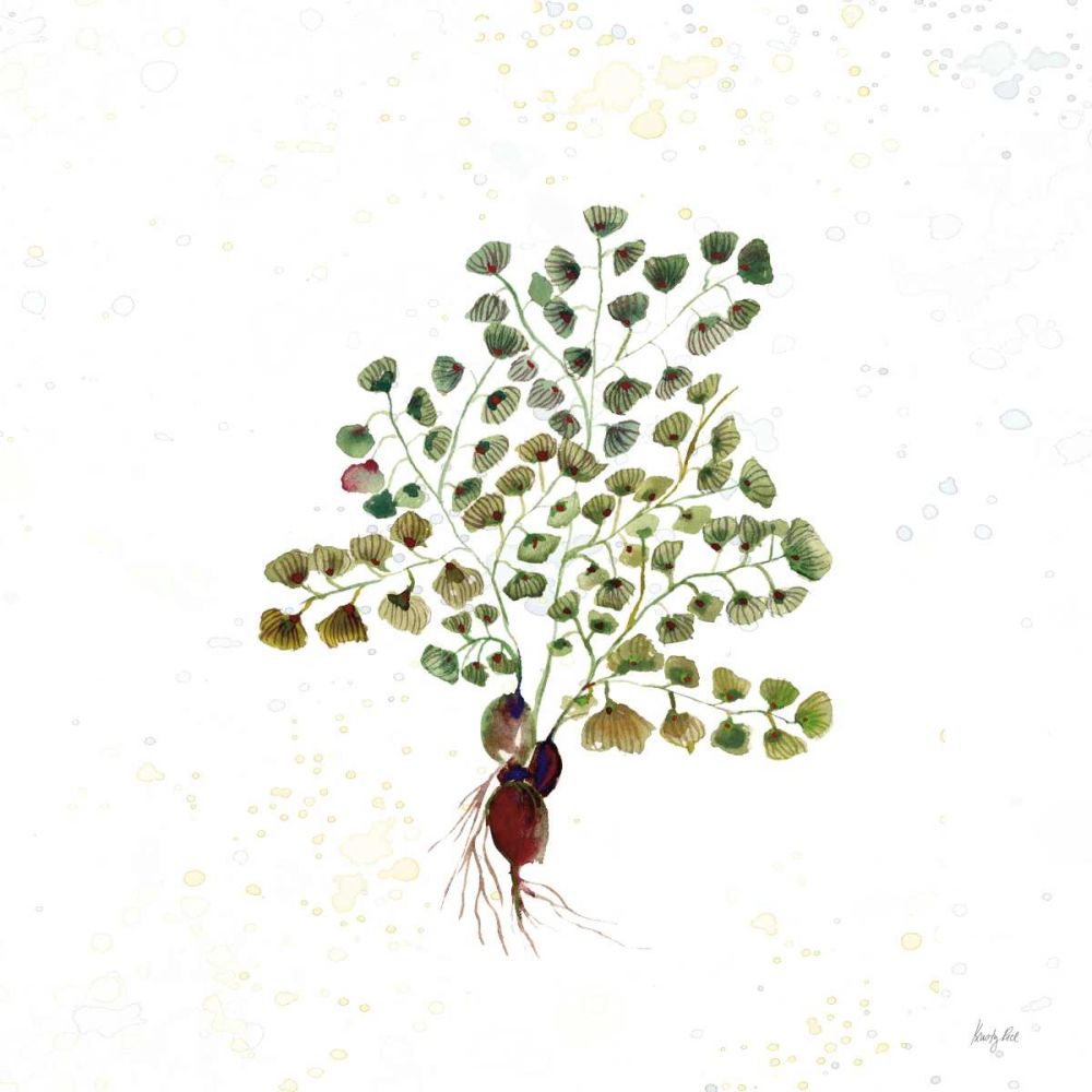 Botticelli Plants II art print by Kristy Rice for $57.95 CAD