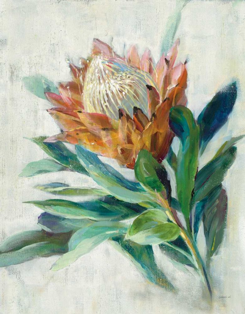 Protea art print by Danhui Nai for $57.95 CAD