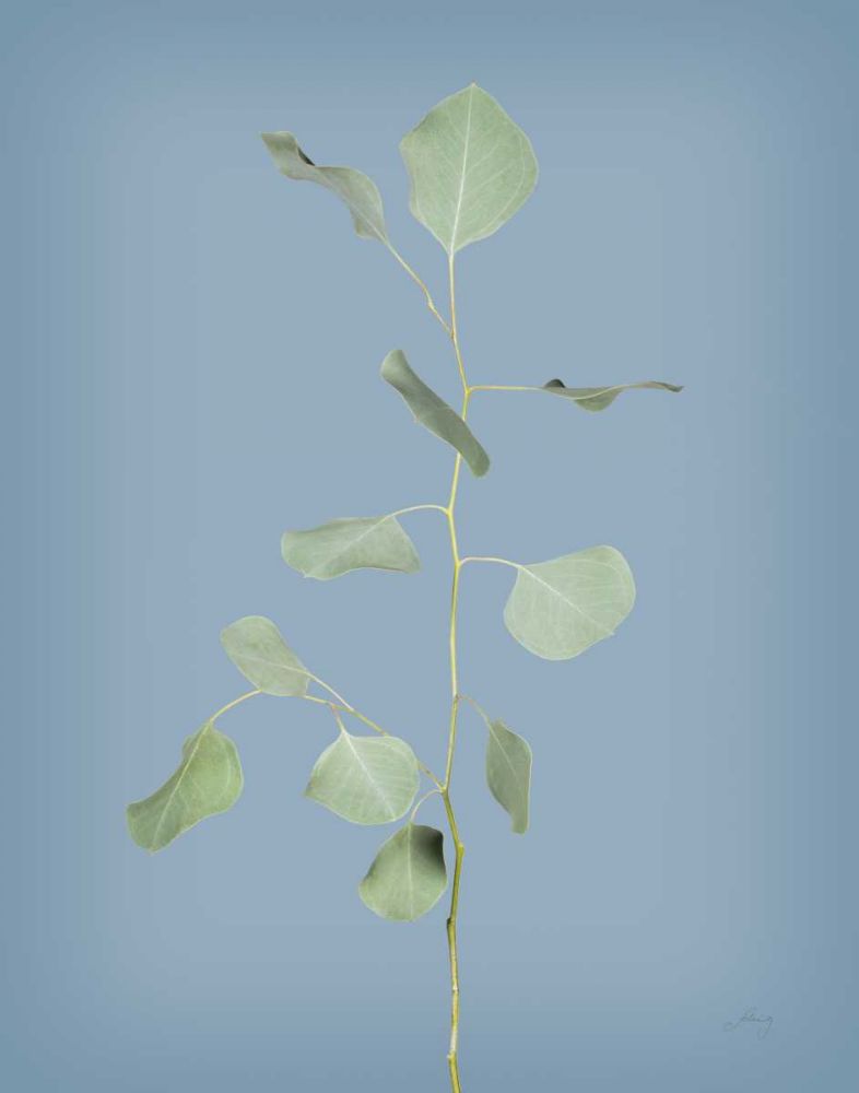 Simple Stems I Blue Crop art print by Felicity Bradley for $57.95 CAD