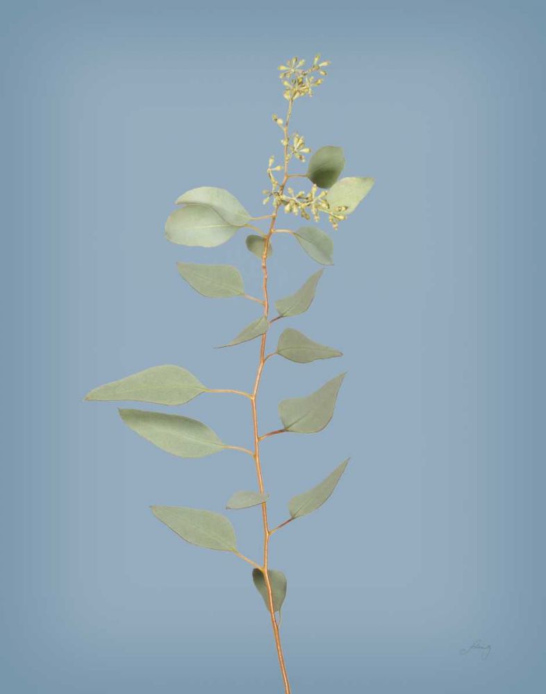 Simple Stems II Blue Crop art print by Felicity Bradley for $57.95 CAD
