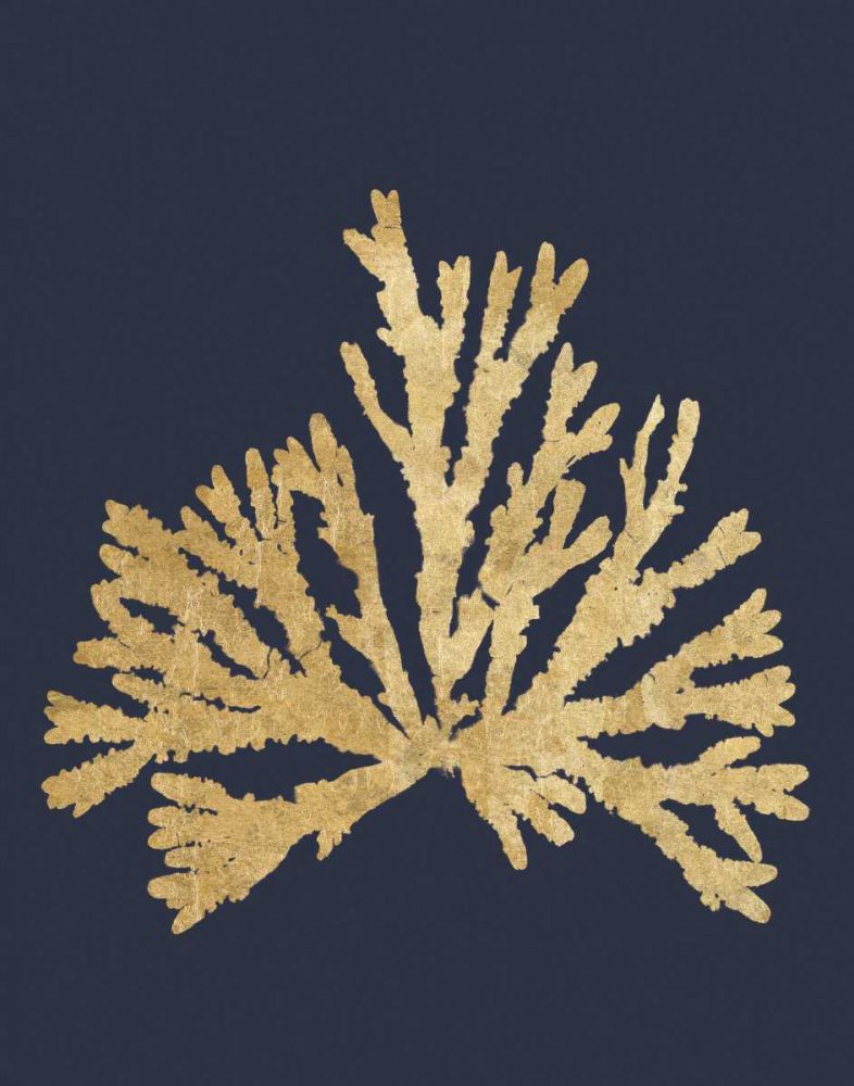 Pacific Sea Mosses IV Indigo art print by Wild Apple Portfolio for $57.95 CAD