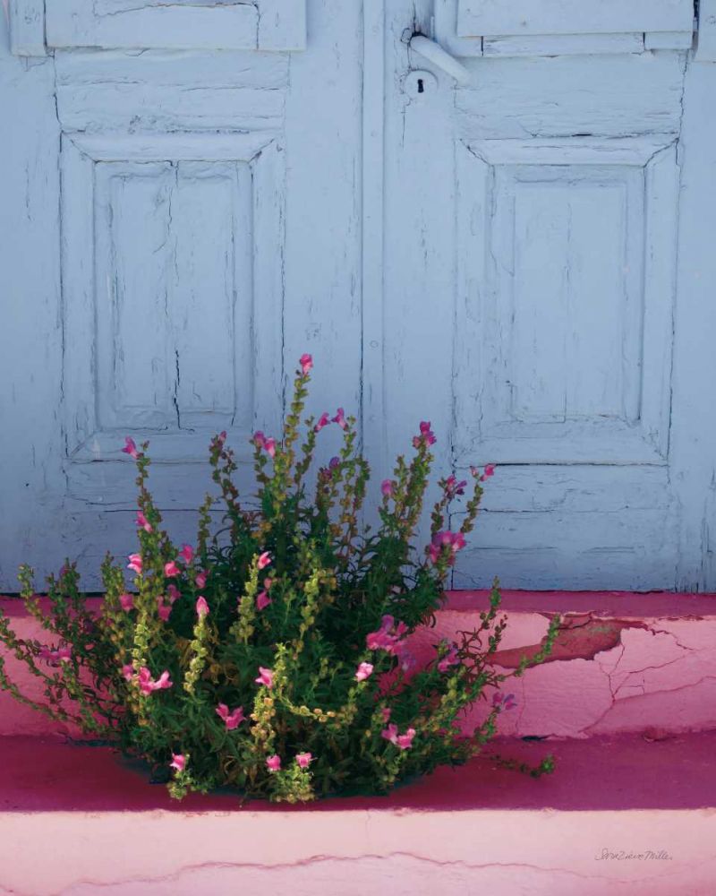 Santorini I Spring Crop art print by Sara Zieve Miller for $57.95 CAD