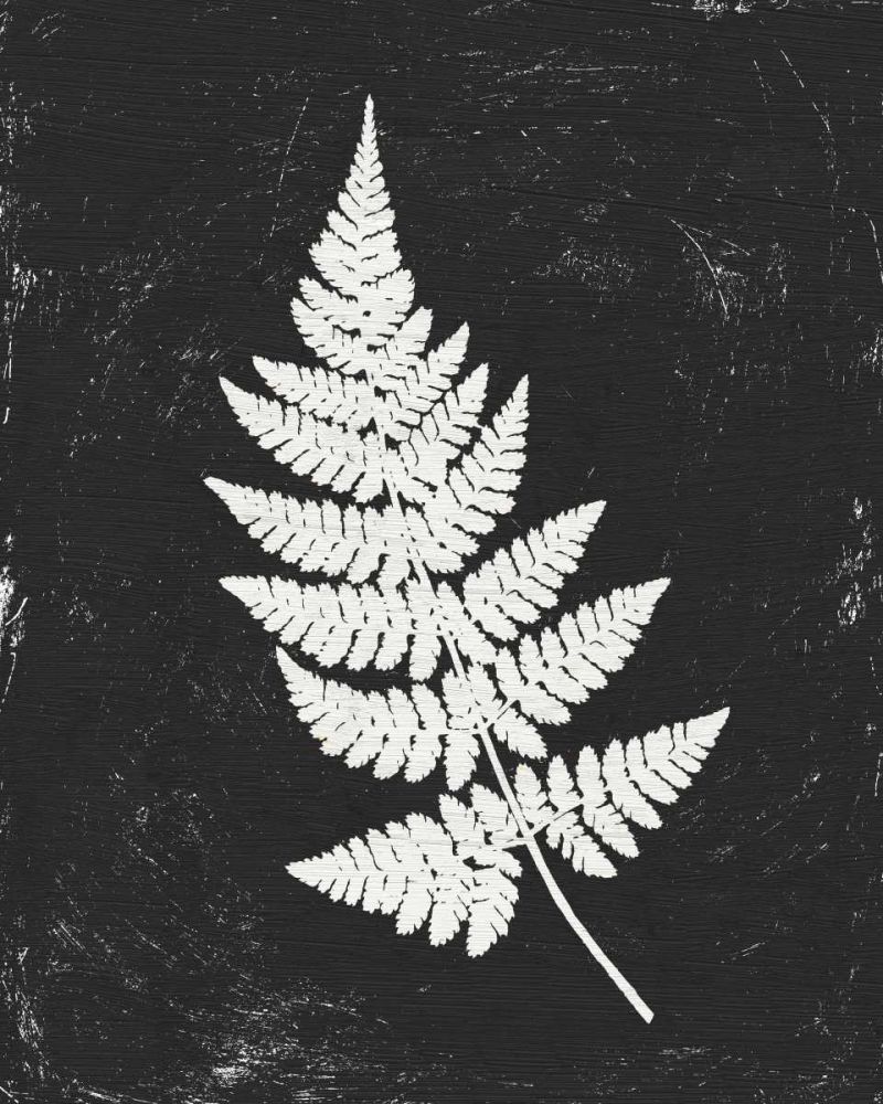 Forest Shadows I Black Crop art print by Moira Hershey for $57.95 CAD