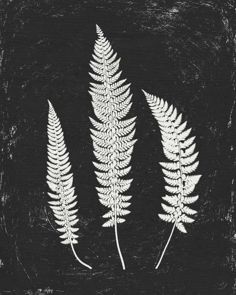 Forest Shadows II Black Crop art print by Moira Hershey for $57.95 CAD