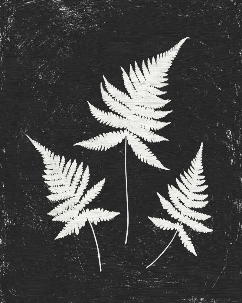 Forest Shadows IV Black Crop art print by Moira Hershey for $57.95 CAD