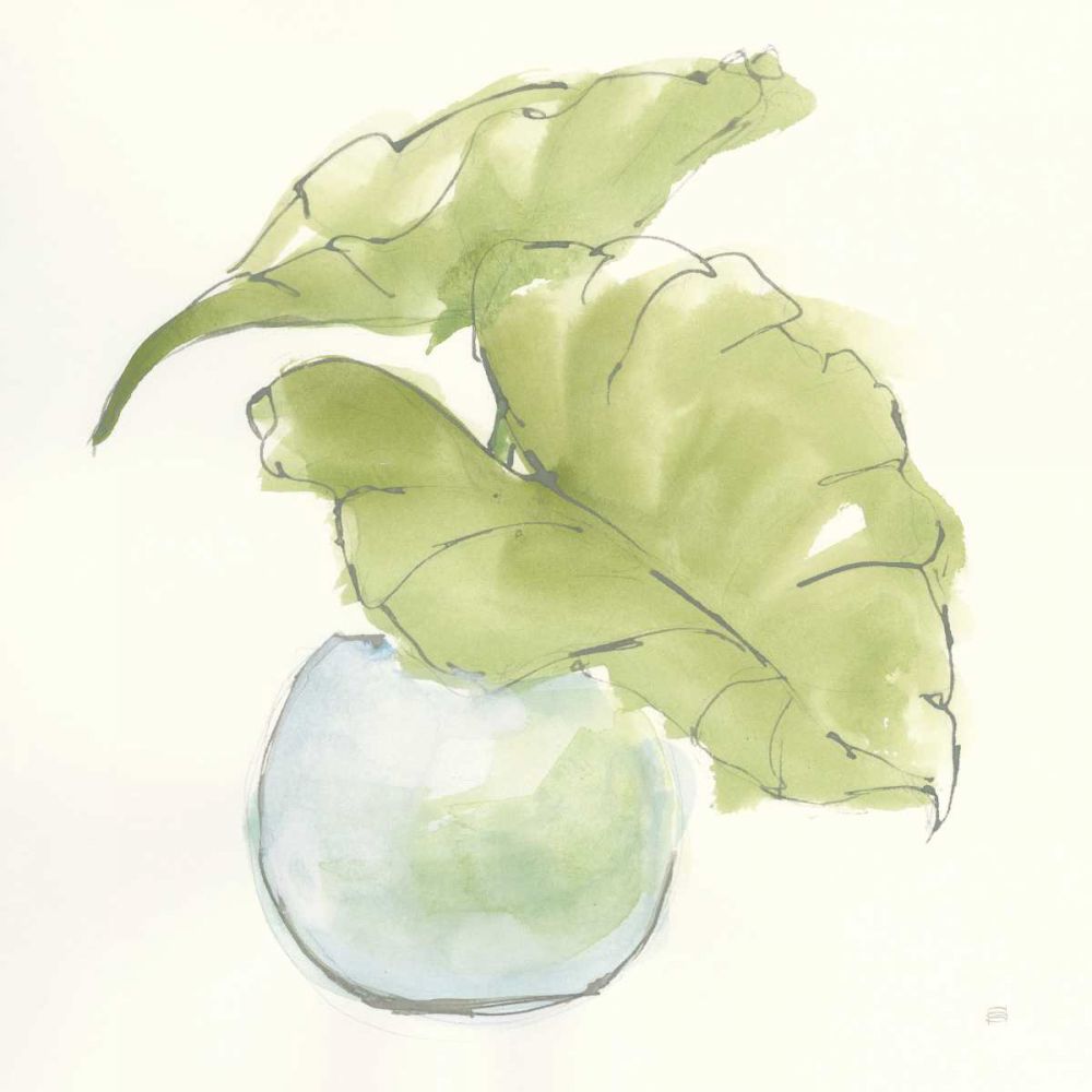Plant Big Leaf III art print by Chris Paschke for $57.95 CAD