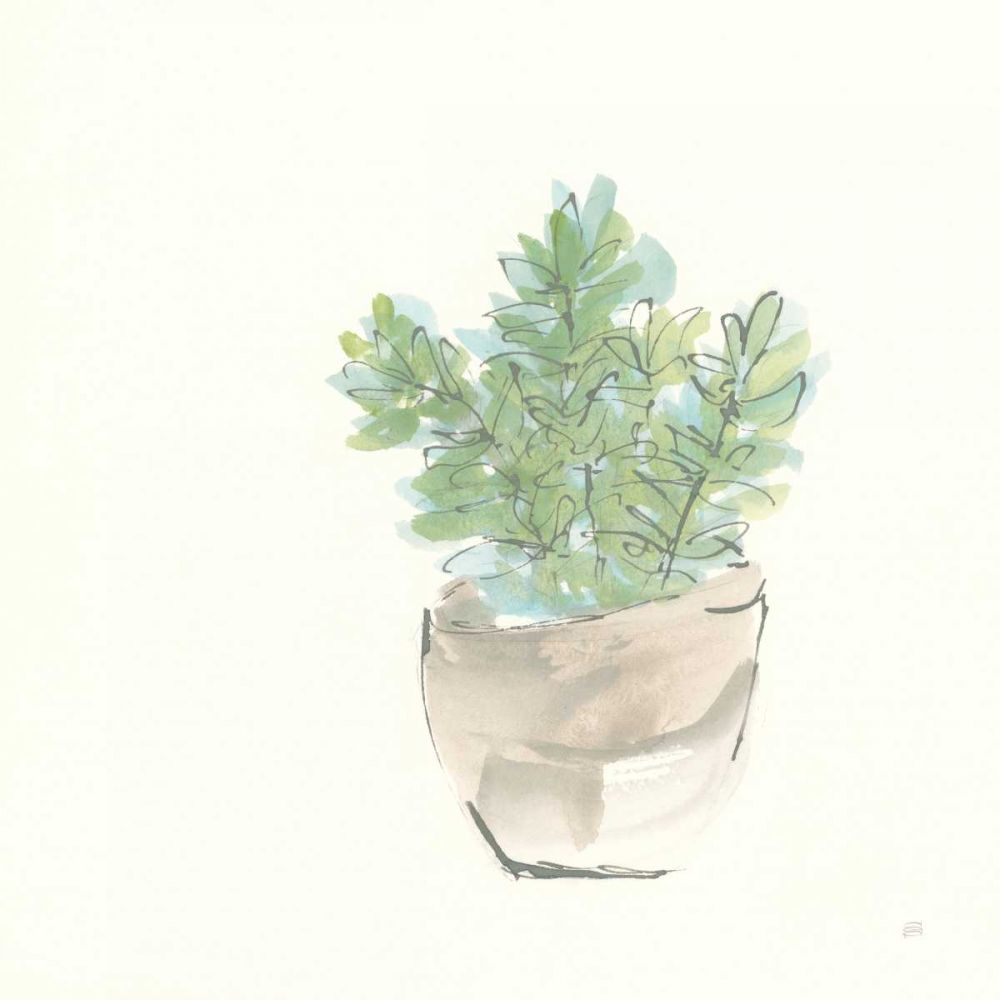 Succulent II art print by Chris Paschke for $57.95 CAD