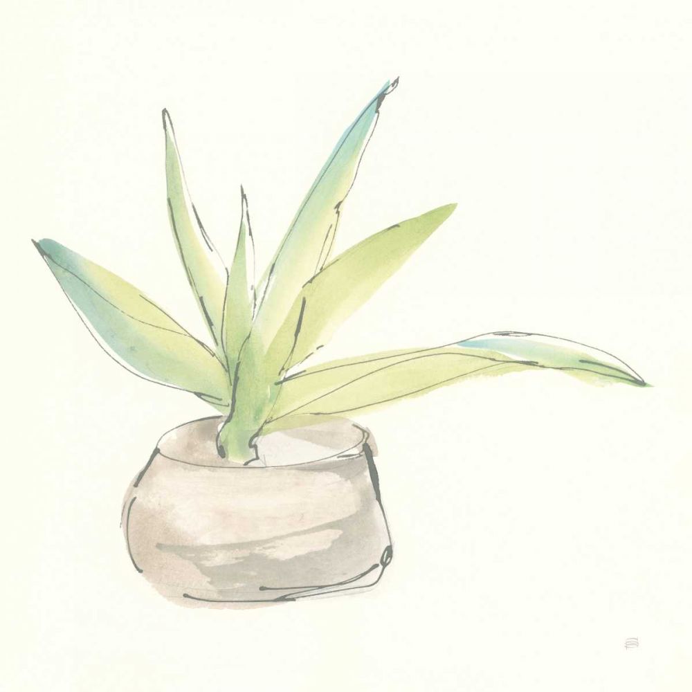 Succulent III art print by Chris Paschke for $57.95 CAD