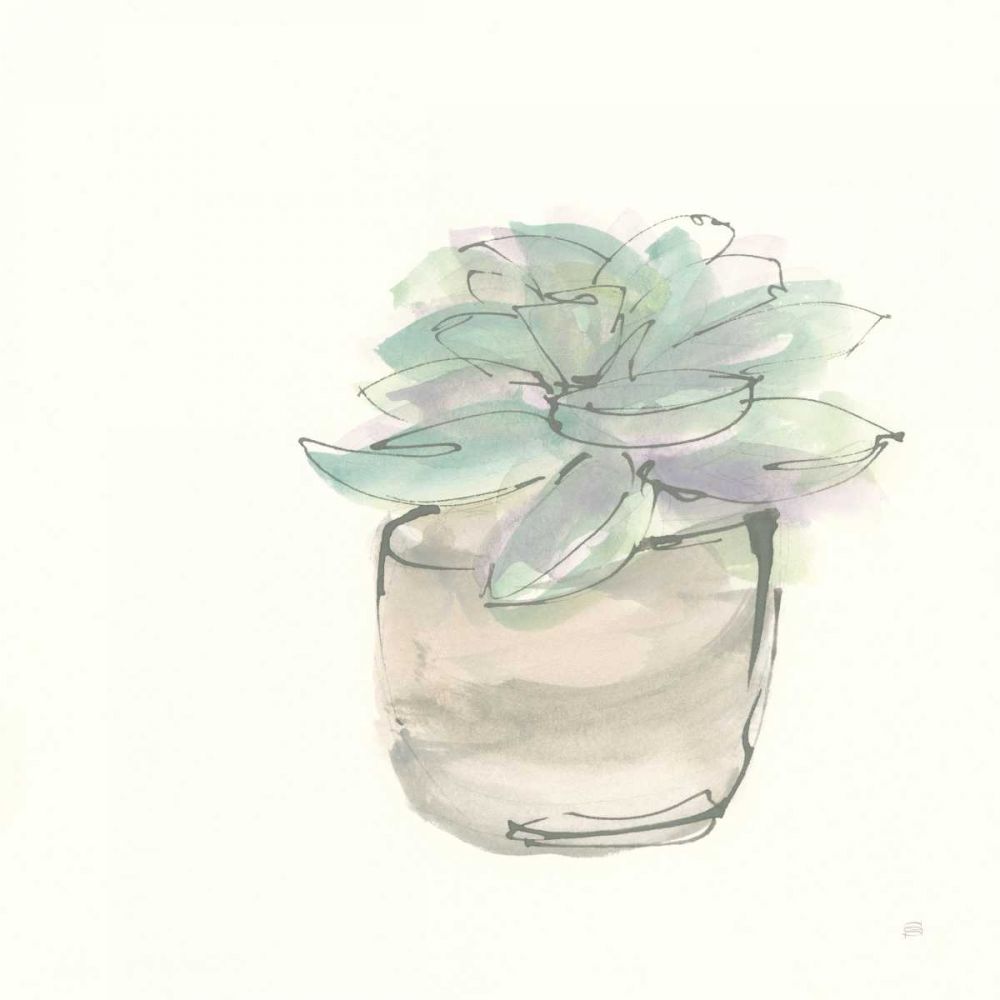 Succulent IV art print by Chris Paschke for $57.95 CAD